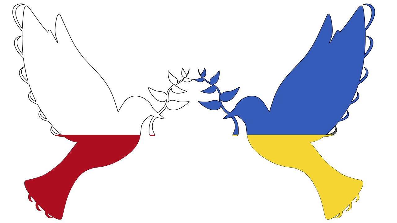 dwa gołębie - jeden w kolorach polskiej flagi, drugi w kolorach flagi ukrainy